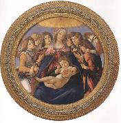 Sandro Botticelli Madonna and child with six Angels or Madonna of the Pomegranate oil painting